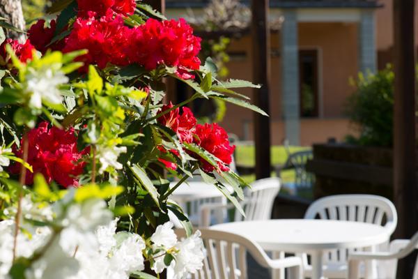 Foresteria Valdese Hotel ตอร์เรเปลลิเช ภายนอก รูปภาพ